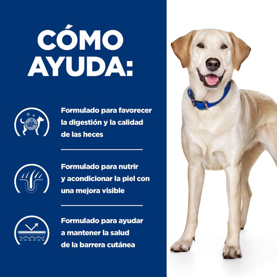 12 kg Hill's Prescription Diet Food Sensitives d/d Pato pienso para perros, , large indicador imagen numero 4